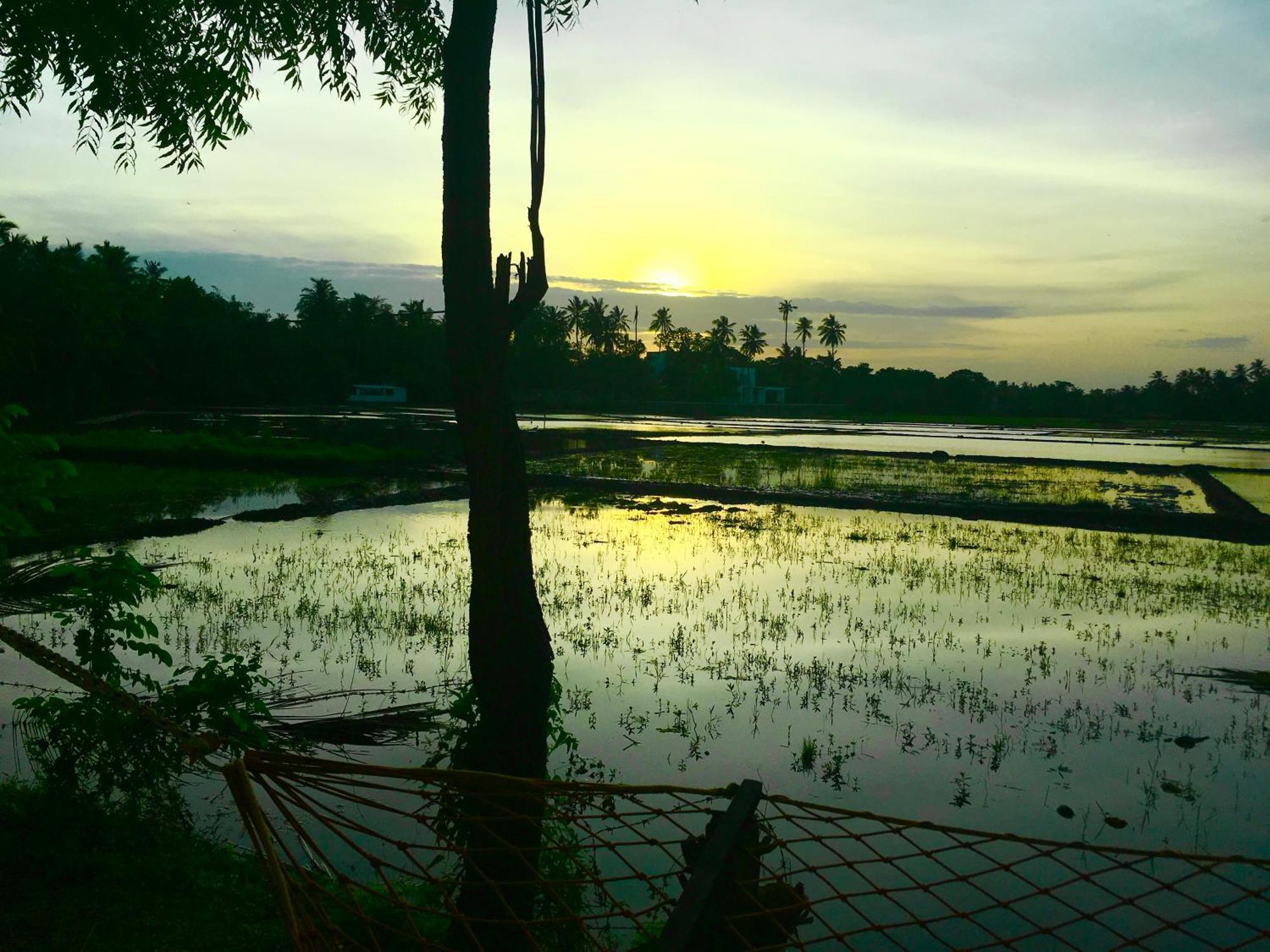Aroma Villa Homestay โปลอนนารูวา ภายนอก รูปภาพ