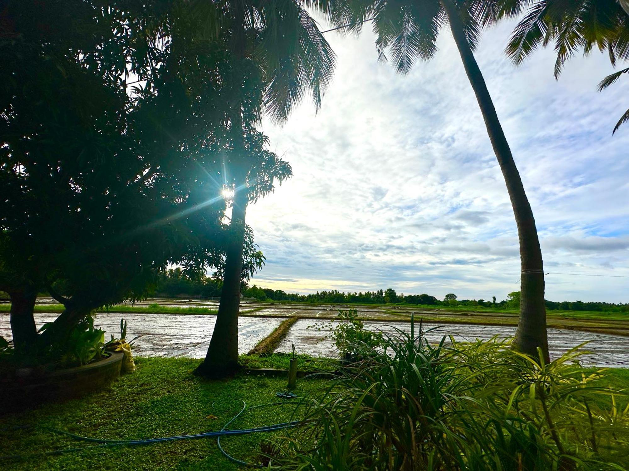 Aroma Villa Homestay โปลอนนารูวา ภายนอก รูปภาพ