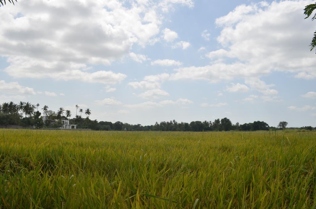 Aroma Villa Homestay โปลอนนารูวา ภายนอก รูปภาพ